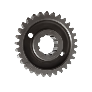 Stainless Steel Spur Gear